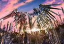 Gundam SEED FREEDOM Berhasil Puncaki Box Office Jepang Setelah Rilis